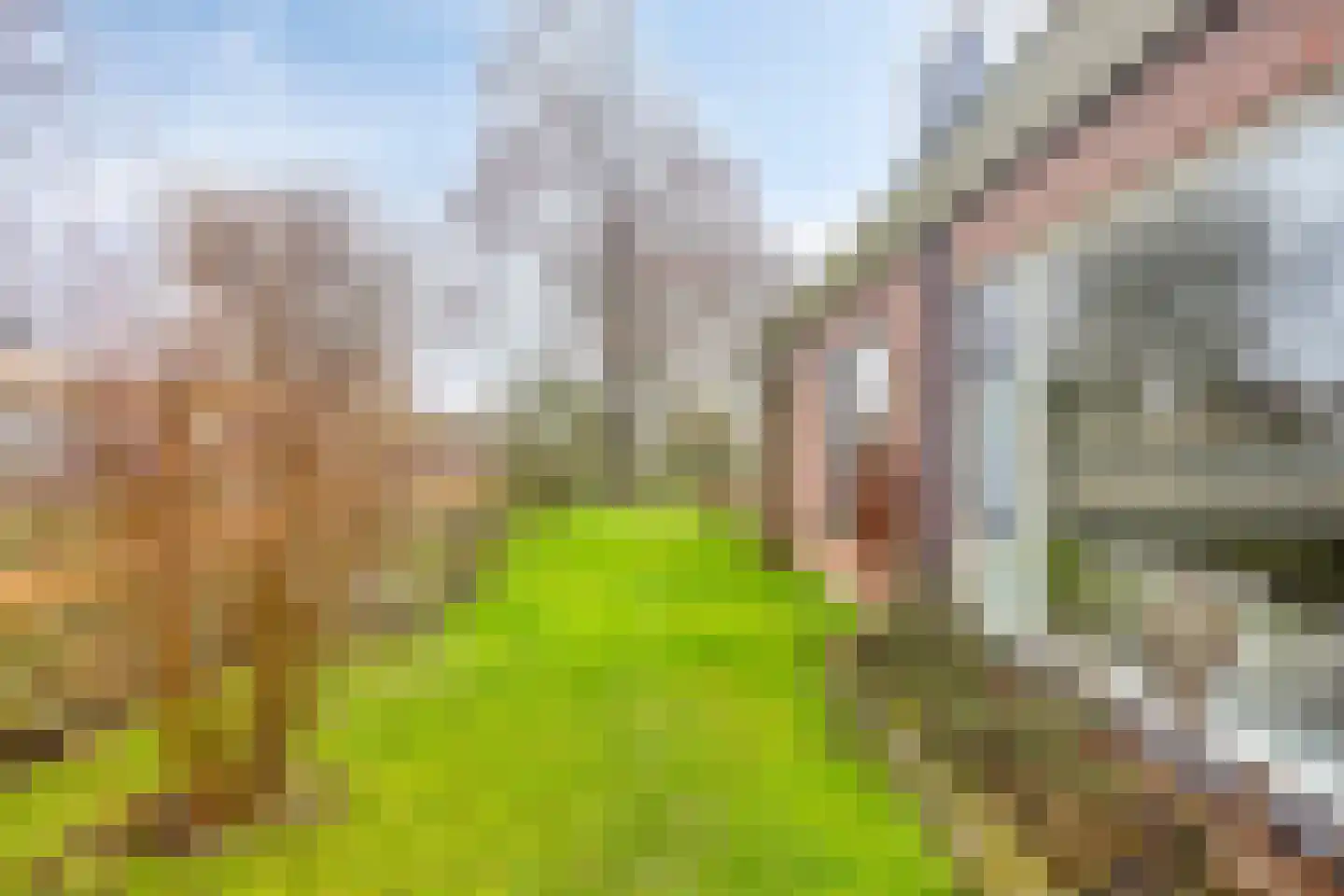 Diemenlaan 90 Emmeloord thumbnail 56