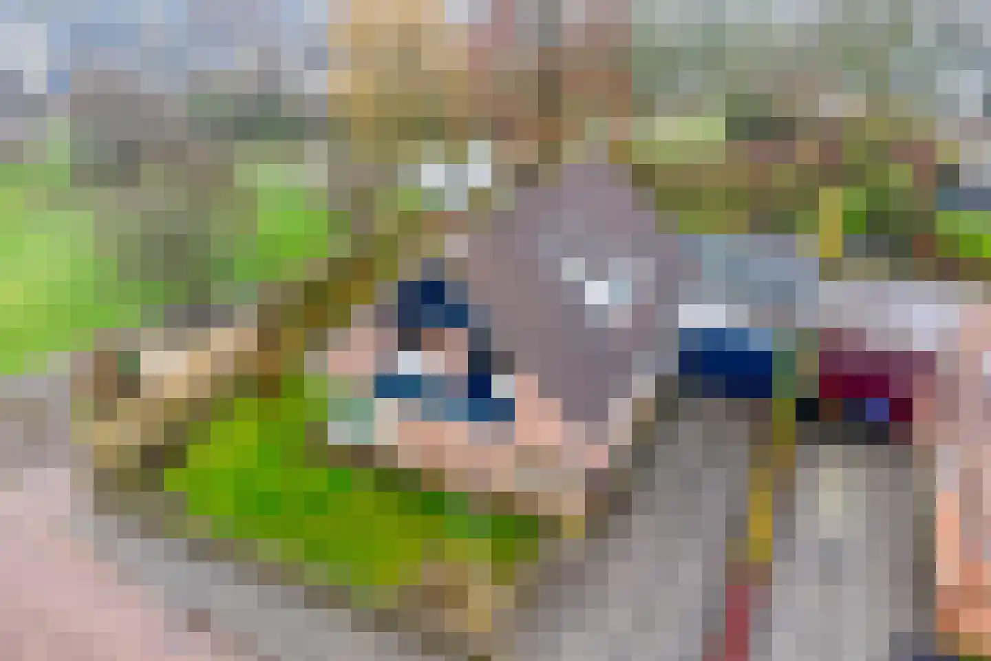 Diemenlaan 90 Emmeloord thumbnail 60