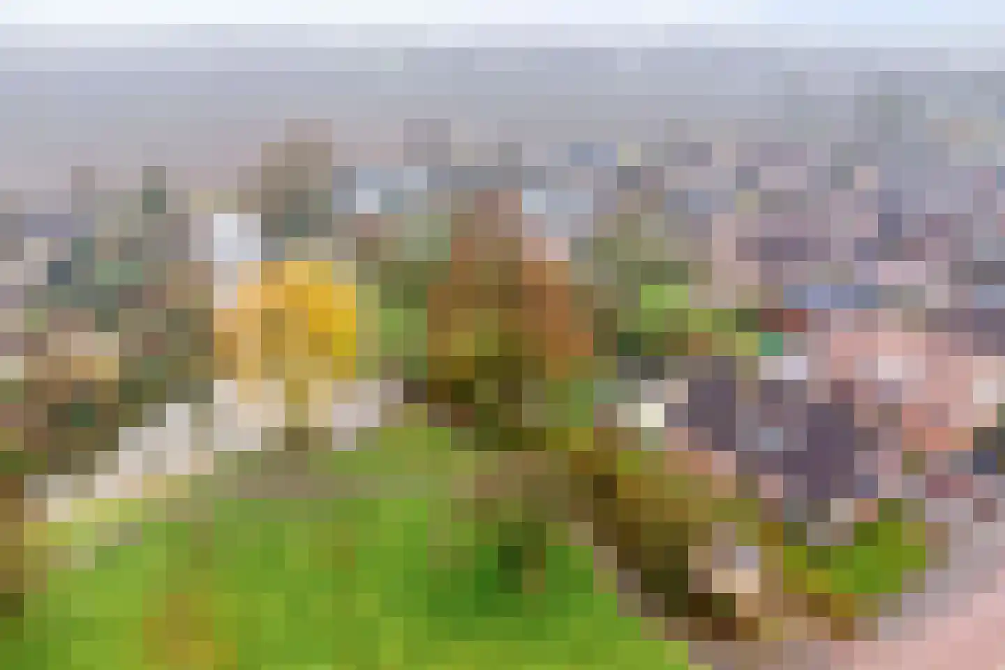 Diemenlaan 90 Emmeloord thumbnail 61