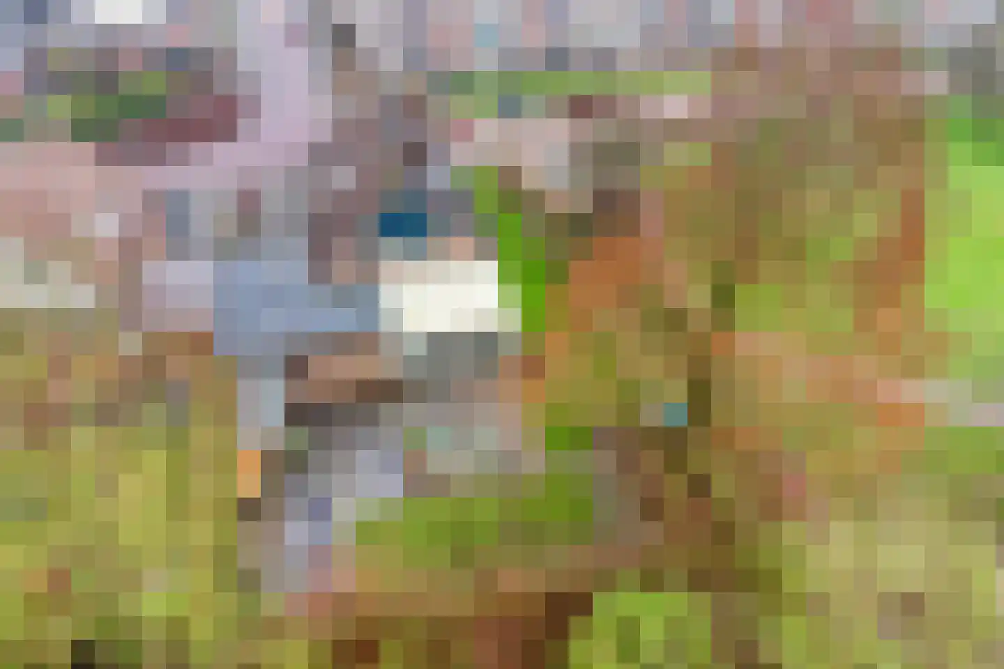 Diemenlaan 90 Emmeloord thumbnail 63