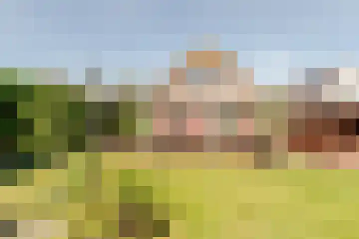 Diemenstraat 3 Lelystad thumbnail 27