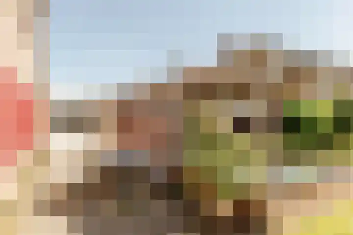Diemenstraat 3 Lelystad thumbnail 30