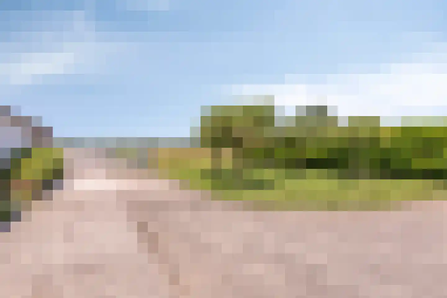 Diemerbroek 41 Papekop thumbnail 46