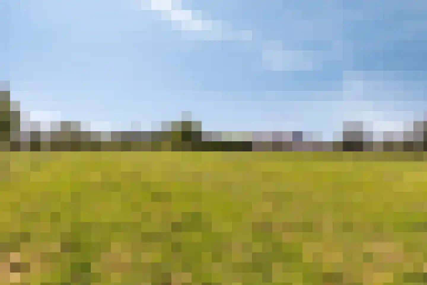 Diemerbroek 41 Papekop thumbnail 56