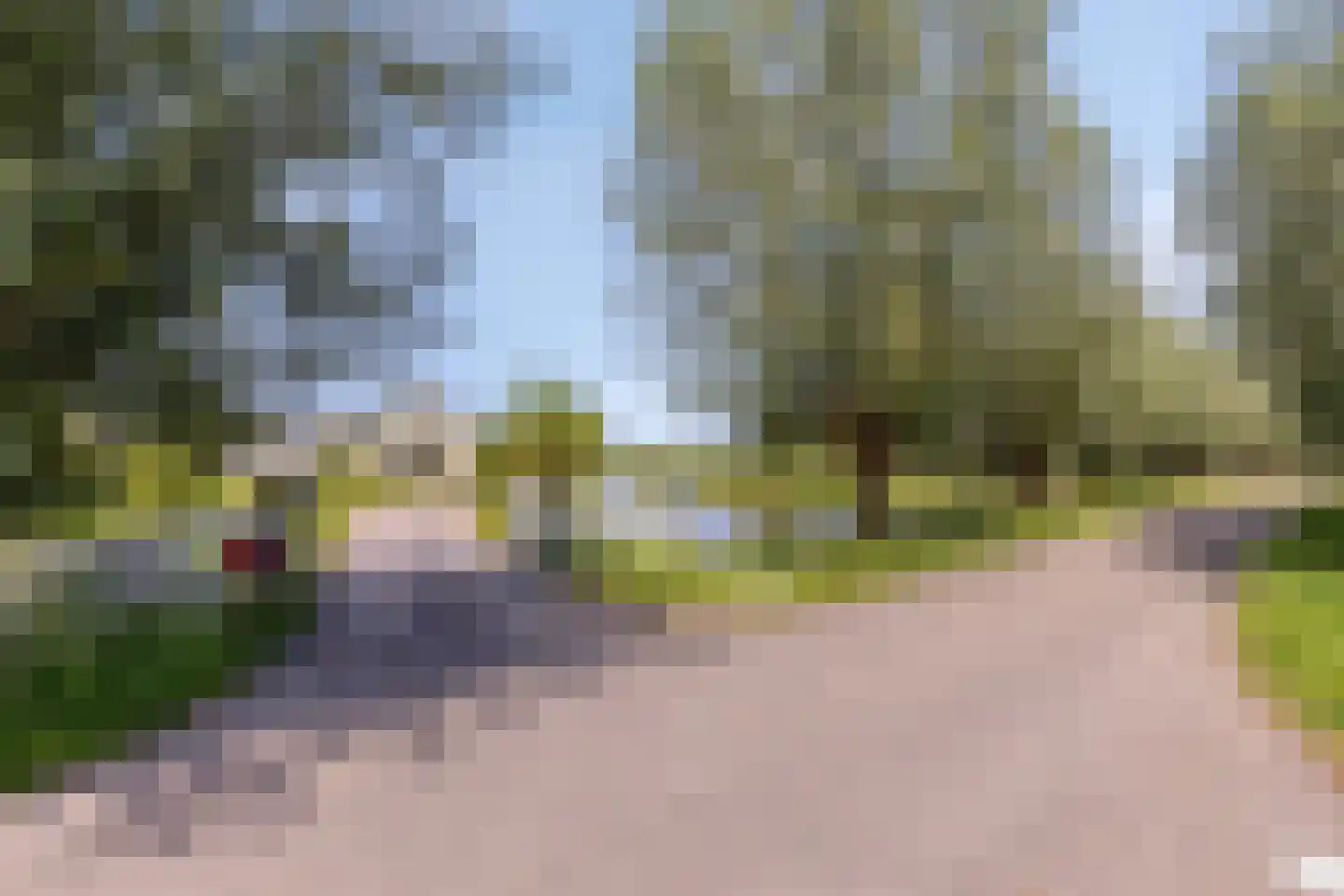 Diemerbroek 41 Papekop thumbnail 60