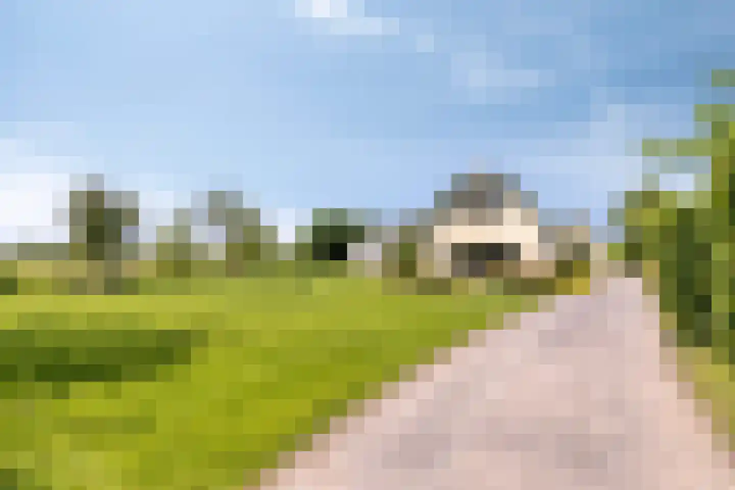 Diemerbroek 41 Papekop thumbnail 62