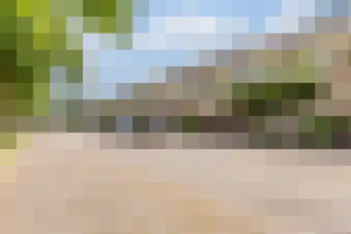 Diemerdijkstraat 15 Weesp thumbnail 6