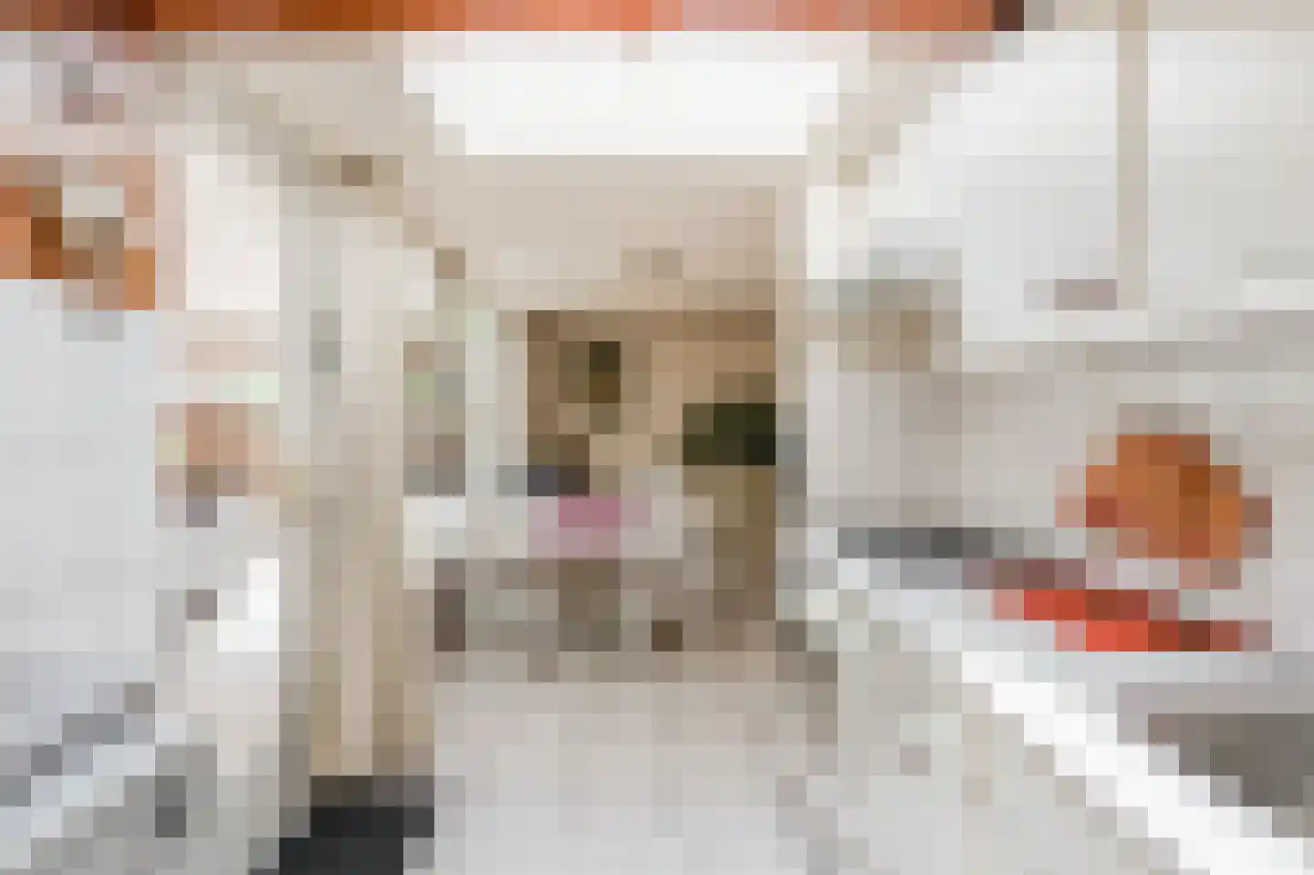 Diemerkade 24 Diemen thumbnail 10