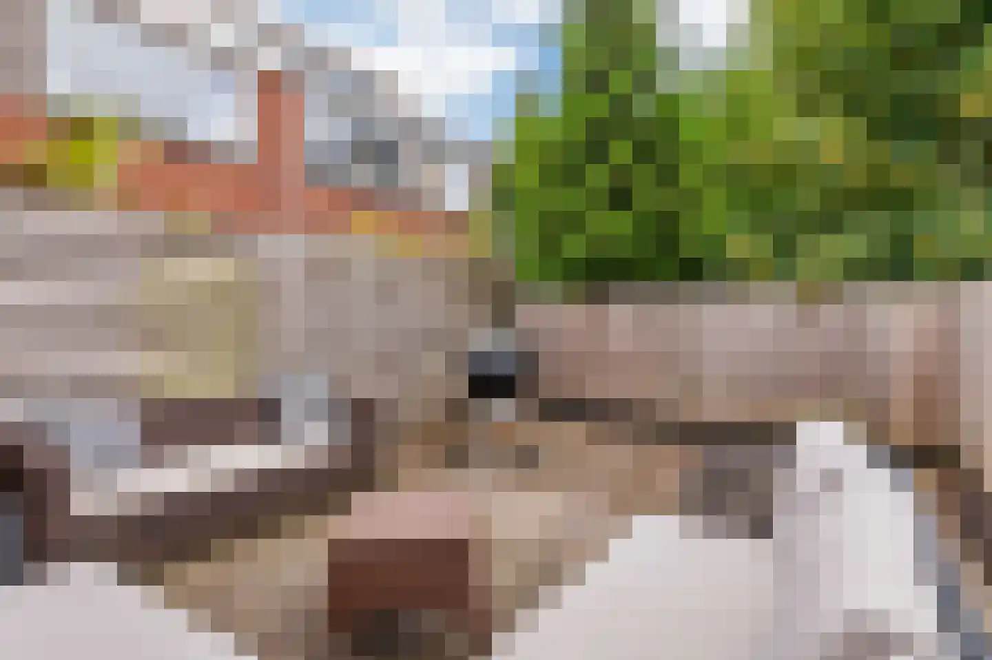 Diemermeerstraat 5 B Hoofddorp thumbnail 13