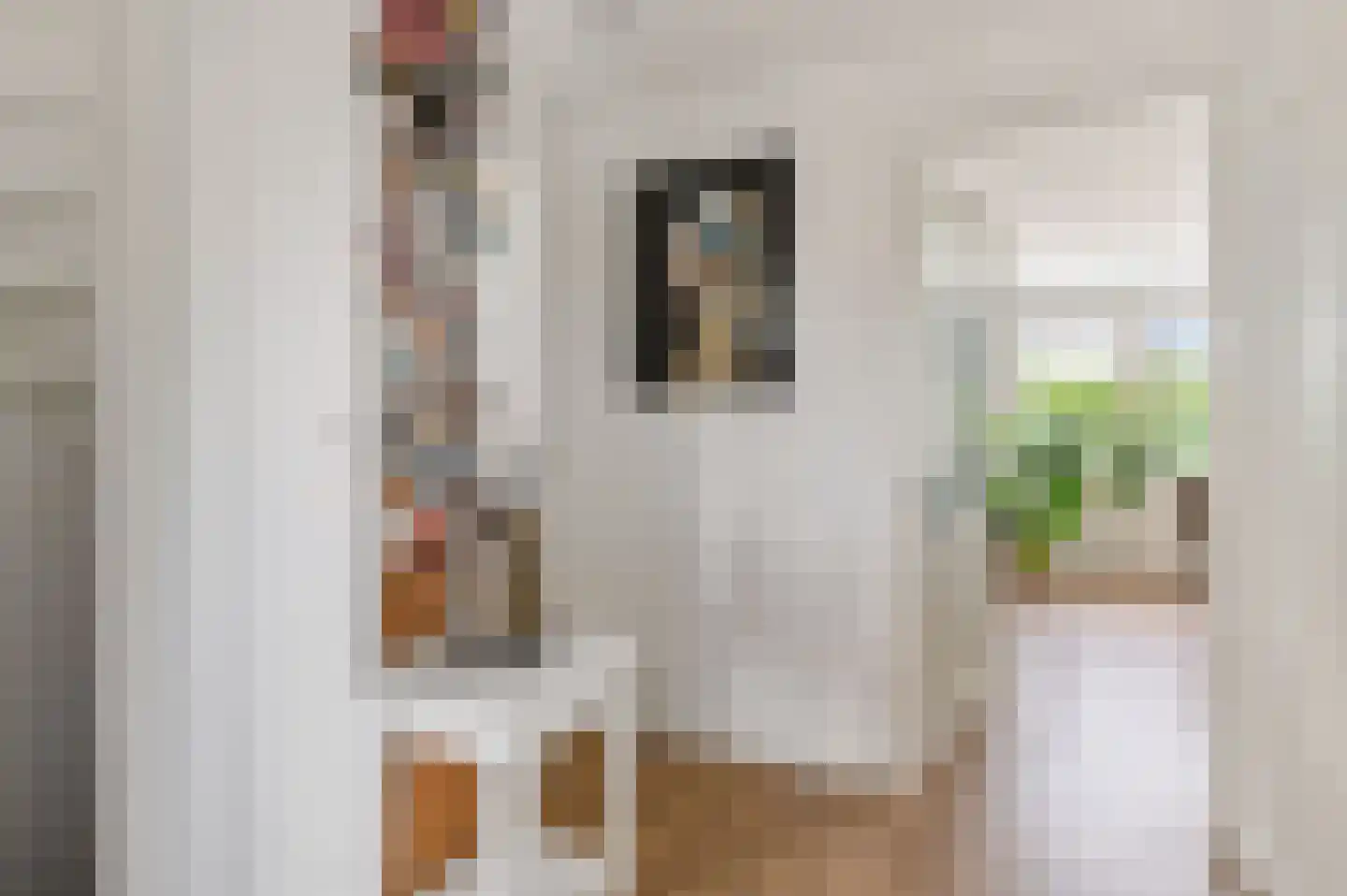 Diemermeerstraat 5 B Hoofddorp thumbnail 6