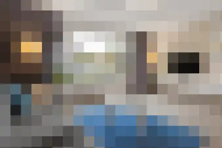 Diemerschans 37 Nieuwegein thumbnail 12