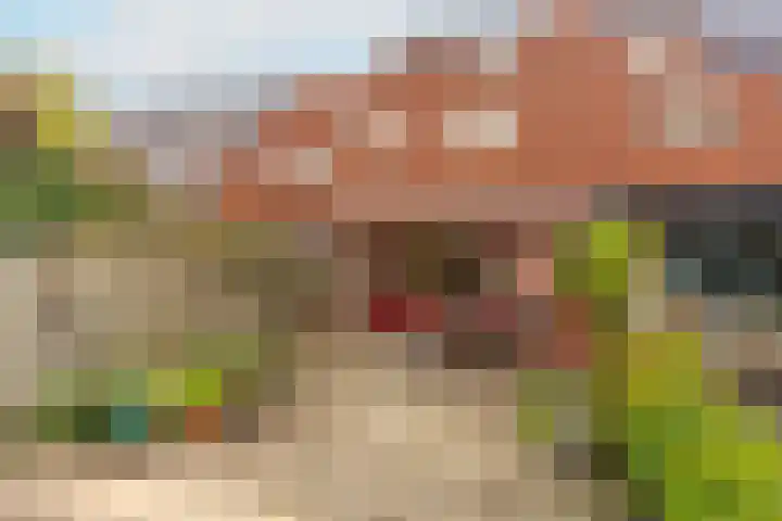 Diemerschans 37 Nieuwegein thumbnail 15