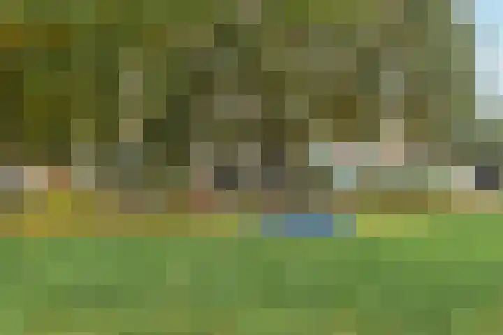 Diemerschans 37 Nieuwegein thumbnail 34