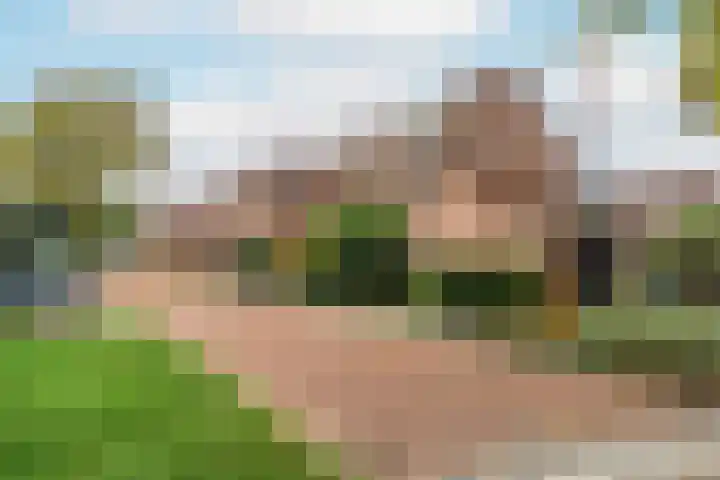 Diemerschans 37 Nieuwegein thumbnail 6