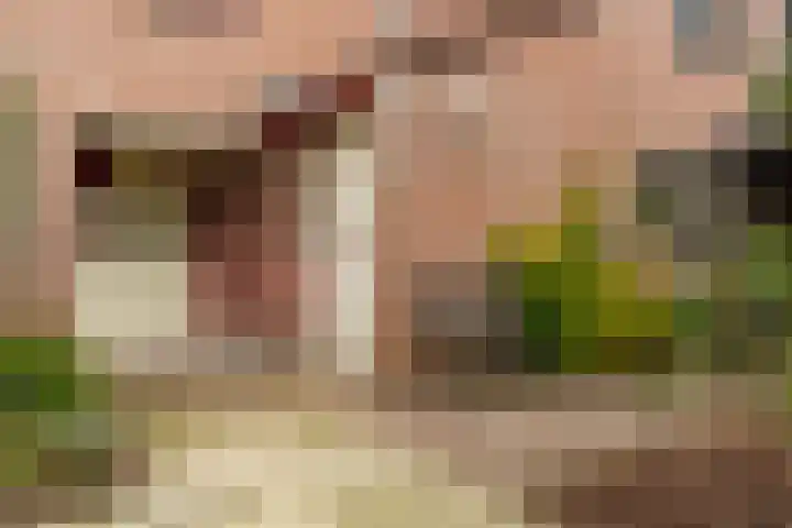Diemerschans 37 Nieuwegein thumbnail 8