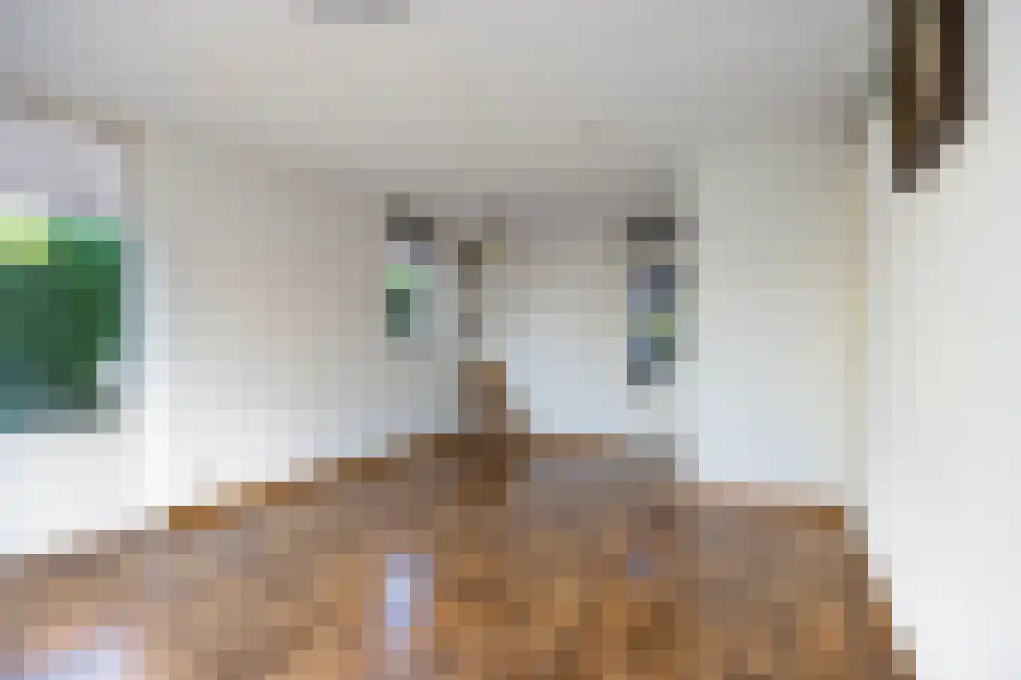 Diemewei 4012 Wijchen thumbnail 11