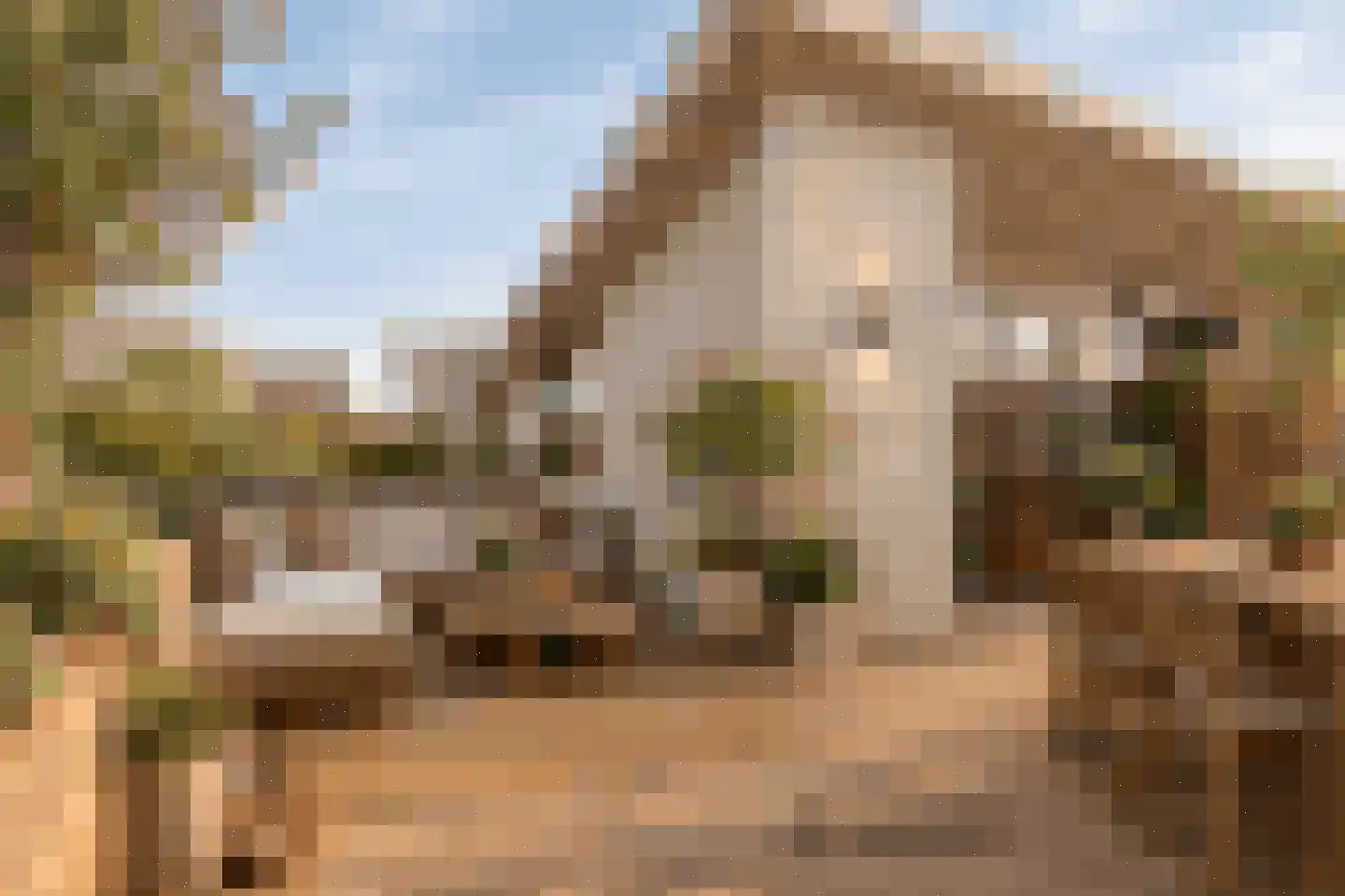 Diemewei 4012 Wijchen thumbnail 27