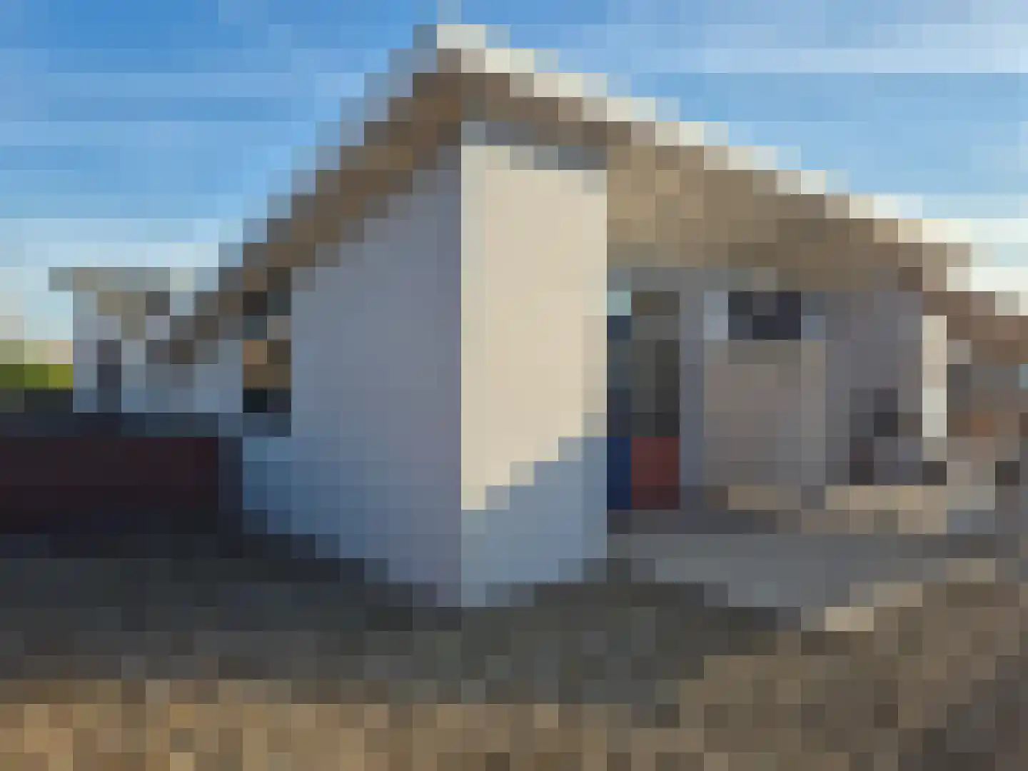 Diemewei 4012 Wijchen thumbnail 29