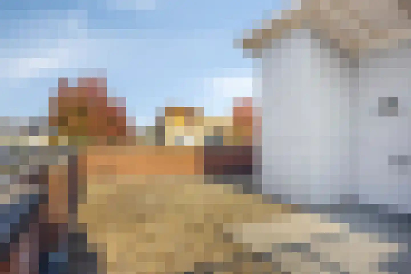 Diemewei 4012 Wijchen thumbnail 31