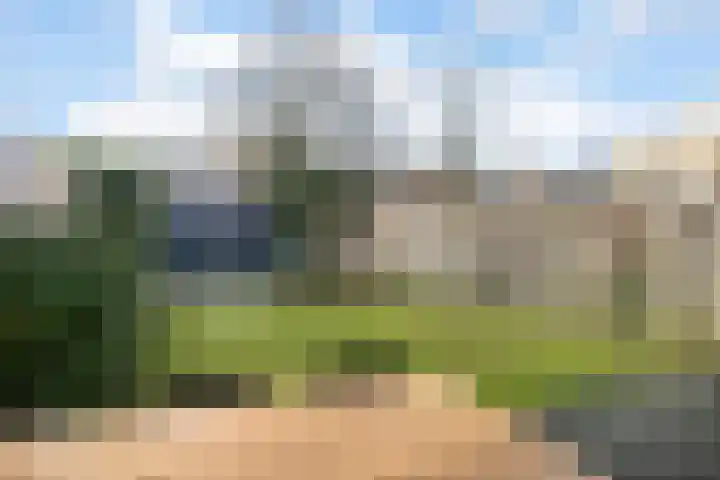 Diemewei 4108 Wijchen thumbnail 11