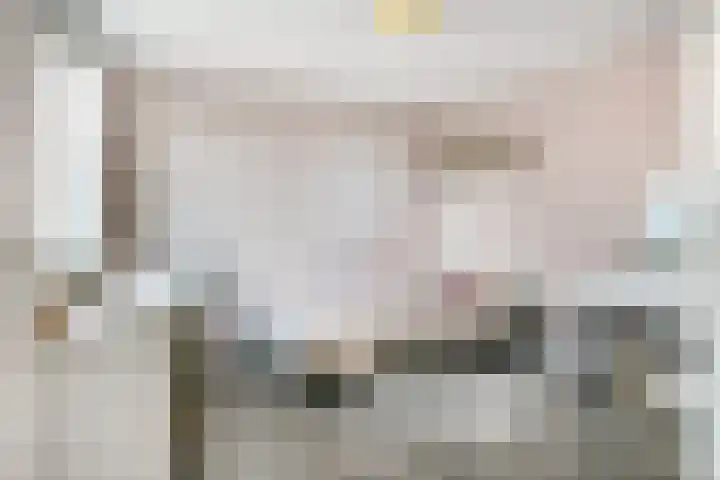 Diemewei 4108 Wijchen thumbnail 16