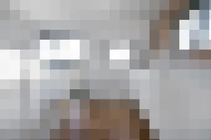 Diemewei 4108 Wijchen thumbnail 22