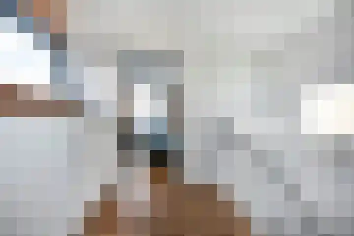 Diemewei 4108 Wijchen thumbnail 23