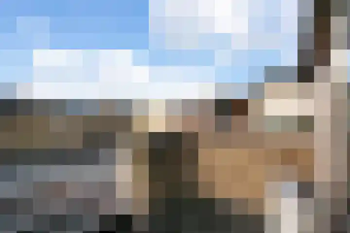 Diemewei 4108 Wijchen thumbnail 26