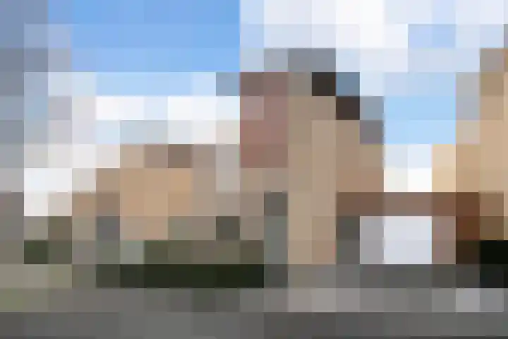 Diemewei 4108 Wijchen thumbnail 29