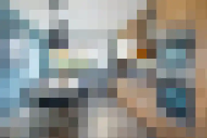 Diemewei 4108 Wijchen thumbnail 7