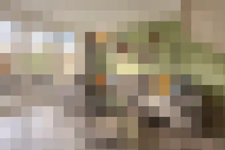 Diemewei 4217 Wijchen thumbnail 10