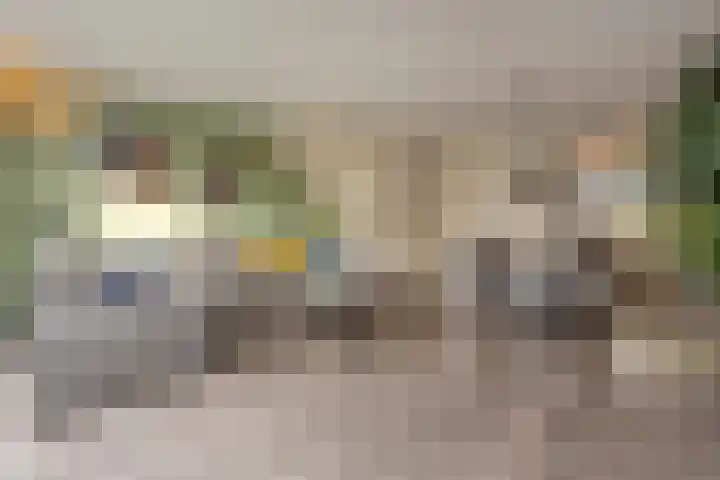 Diemewei 4217 Wijchen thumbnail 12