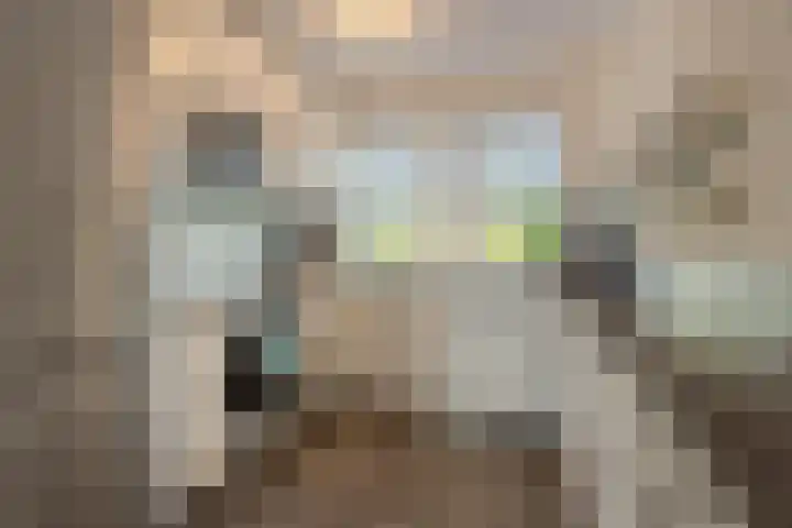 Diemewei 4217 Wijchen thumbnail 13