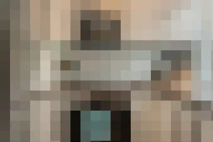 Diemewei 4217 Wijchen thumbnail 14