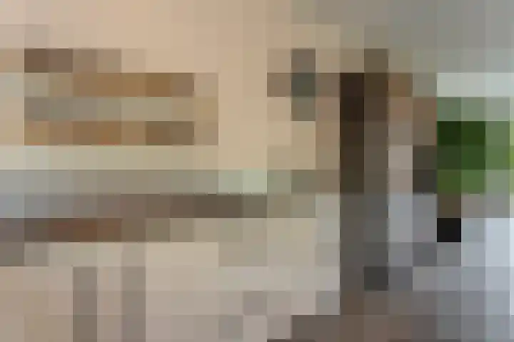Diemewei 4217 Wijchen thumbnail 15