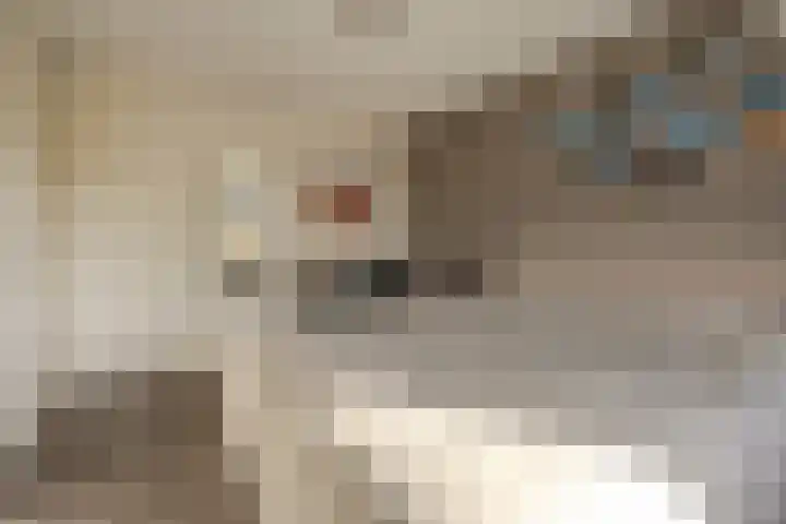 Diemewei 4217 Wijchen thumbnail 17