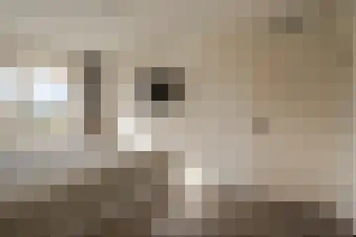Diemewei 4217 Wijchen thumbnail 18