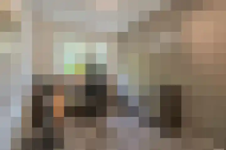 Diemewei 4217 Wijchen thumbnail 20