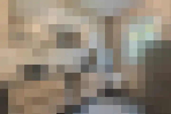 Diemewei 4217 Wijchen thumbnail 21