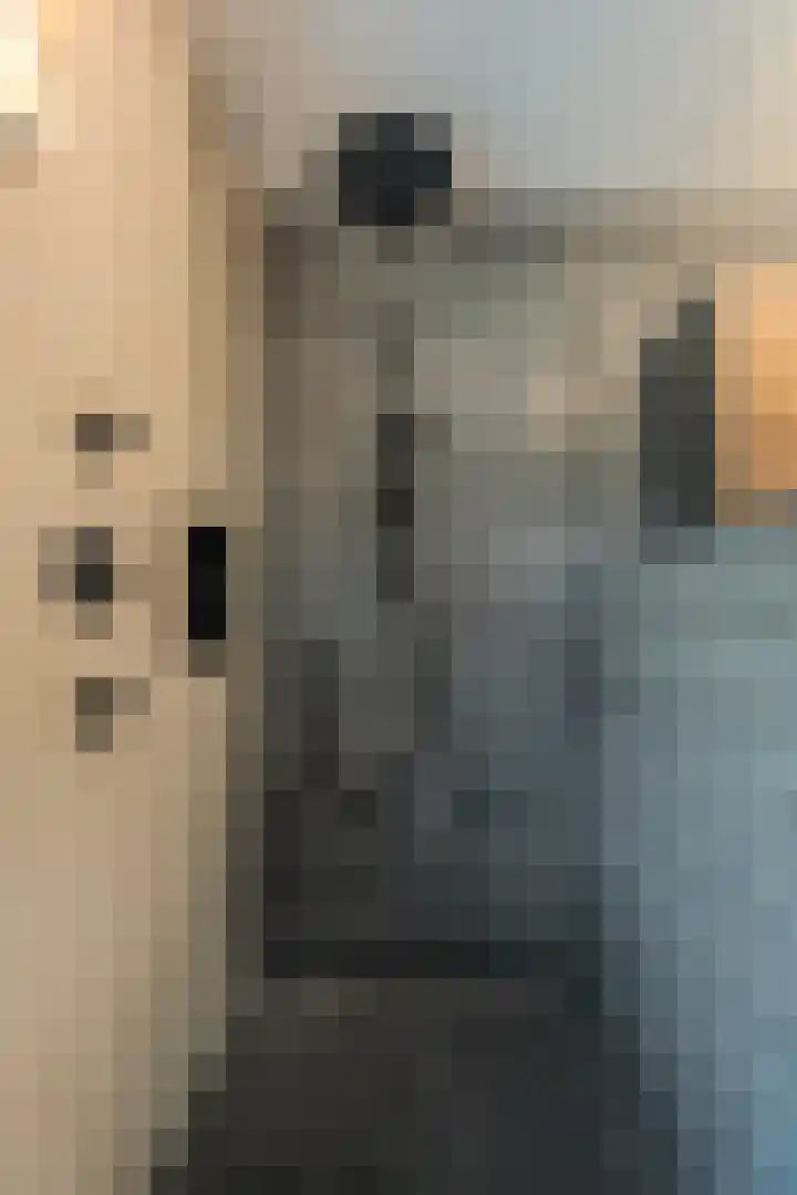 Diemewei 4217 Wijchen thumbnail 22