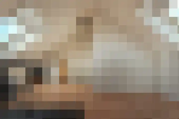 Diemewei 4217 Wijchen thumbnail 23