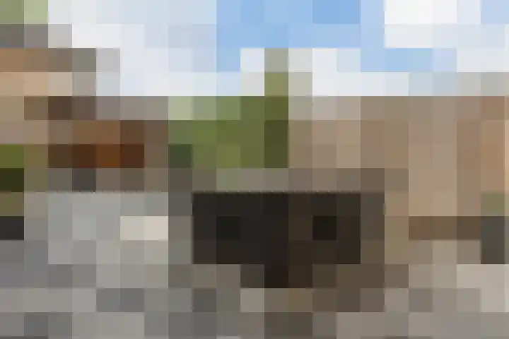 Diemewei 4217 Wijchen thumbnail 27