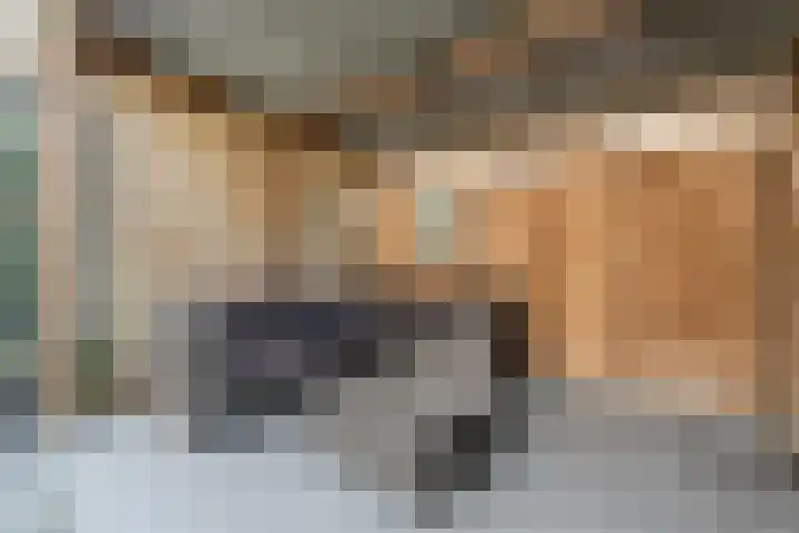 Diemewei 4217 Wijchen thumbnail 29
