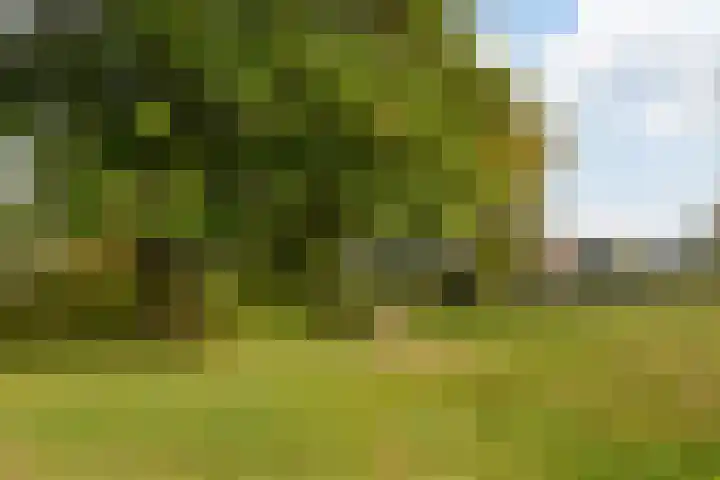 Diemewei 4217 Wijchen thumbnail 30