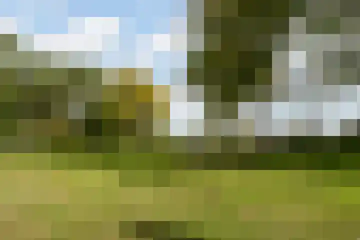 Diemewei 4217 Wijchen thumbnail 31