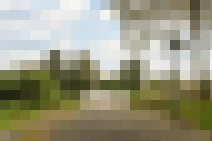 Diemewei 4217 Wijchen thumbnail 32