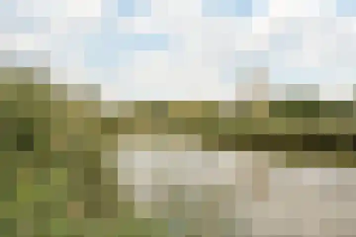 Diemewei 4217 Wijchen thumbnail 33