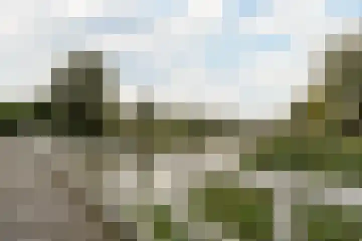 Diemewei 4217 Wijchen thumbnail 34