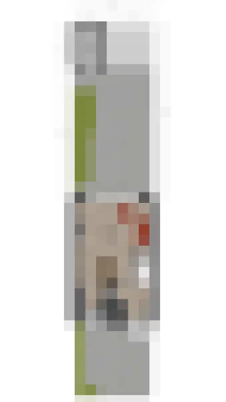 Diemewei 4217 Wijchen thumbnail 37