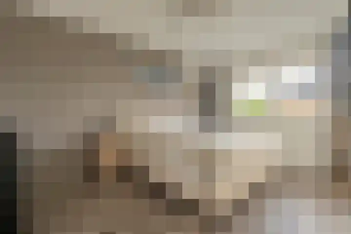 Diemewei 4217 Wijchen thumbnail 4